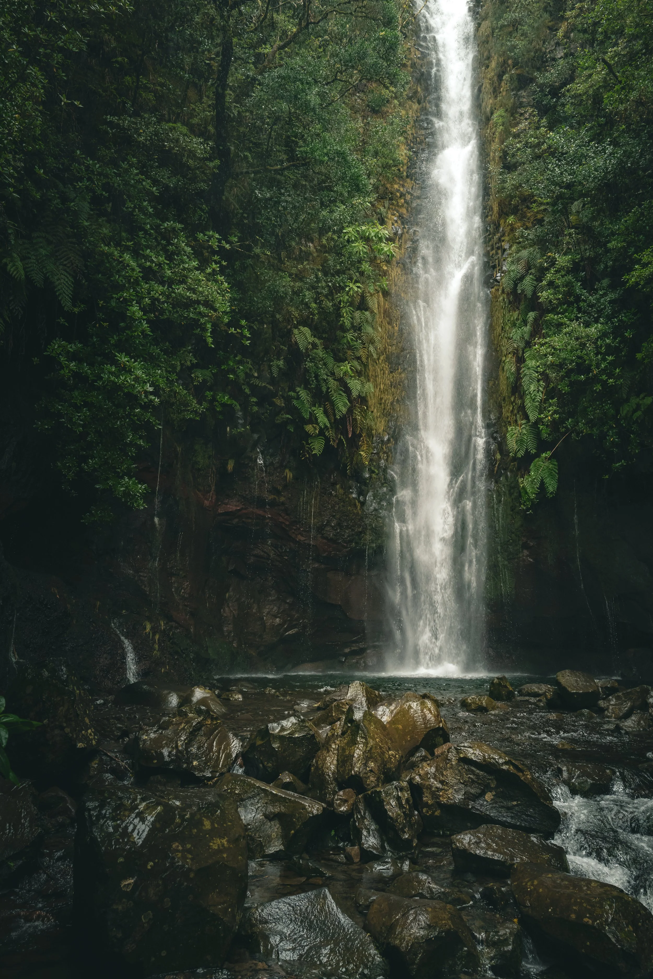 Tall waterfall cascading into a rocky river surrounded by lush green dense forest.