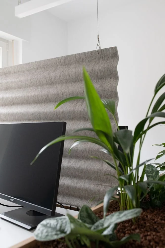 TSC Acoustic Panel FDDSF.jpeg