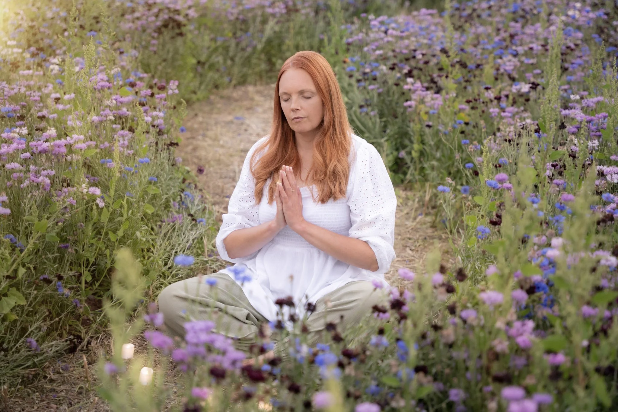 Half-Day Meditation Retreat at Wellness Woodlands