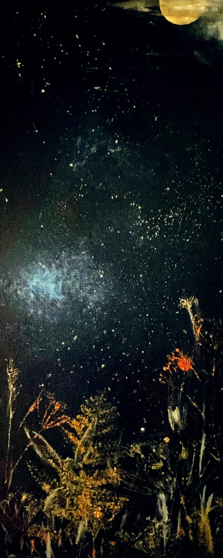 milky way moon(1).jpg