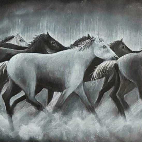 spirit stampede(1).jpg