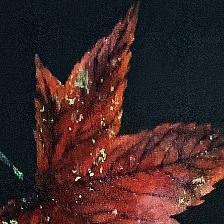 season after season(1).jpg