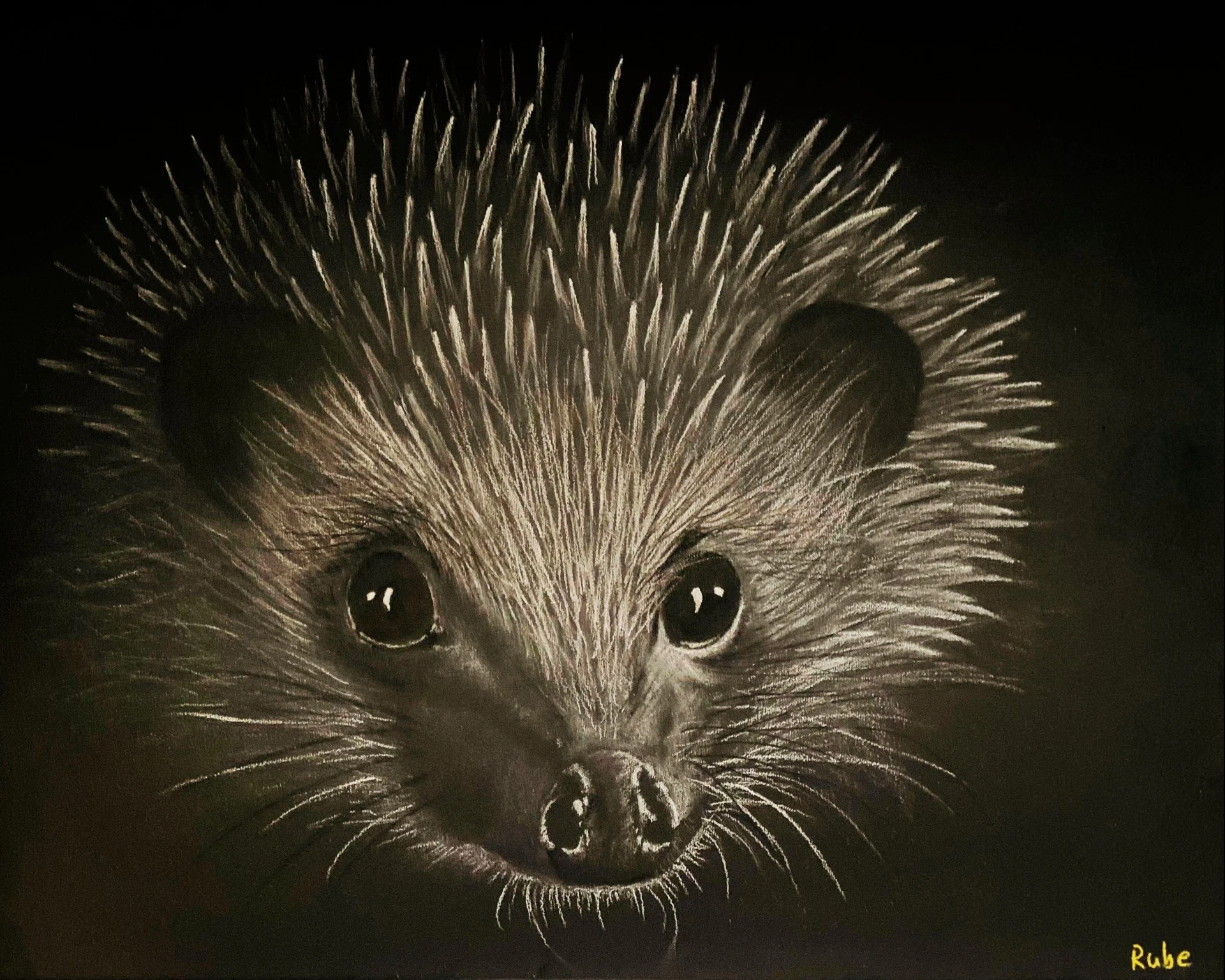 nocturnal tiptoe(2).jpg