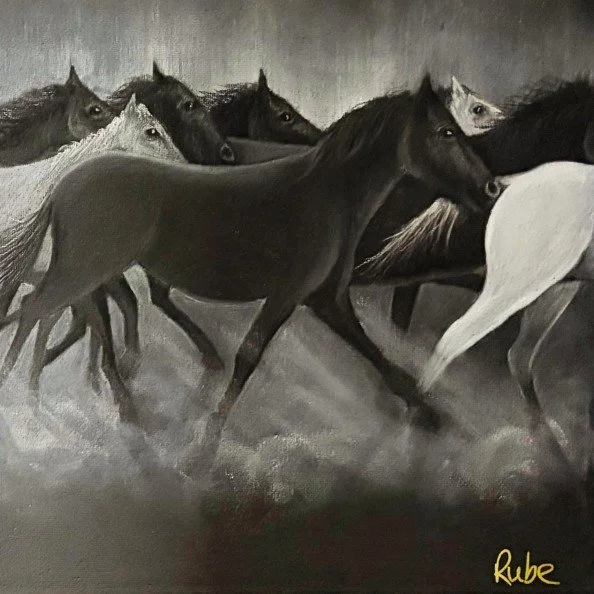 spirit stampede(2).jpg