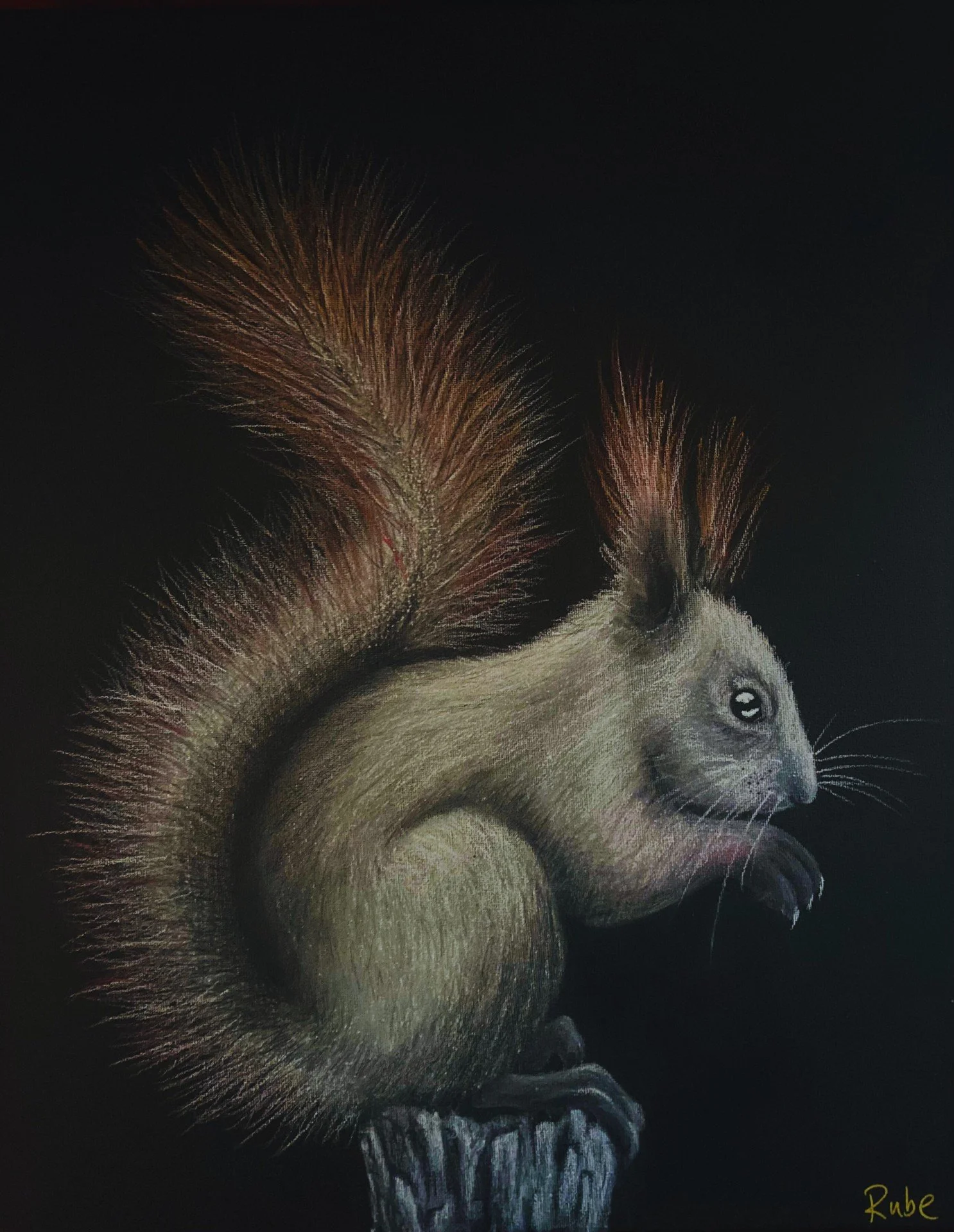 red tipped mission (4).jpg