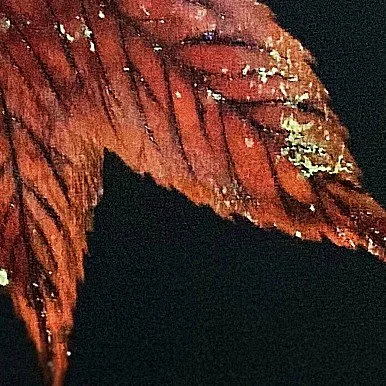 season after season(2).jpg