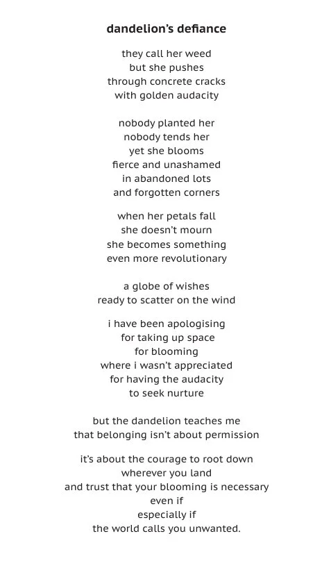 dandilion.jpeg