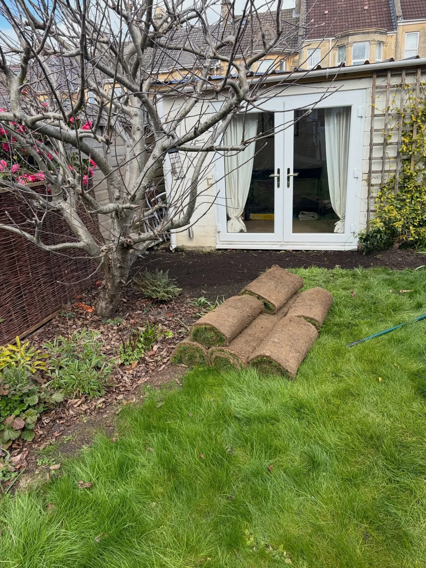 Just a little green magic today ✨