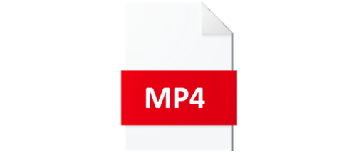 MP4.png