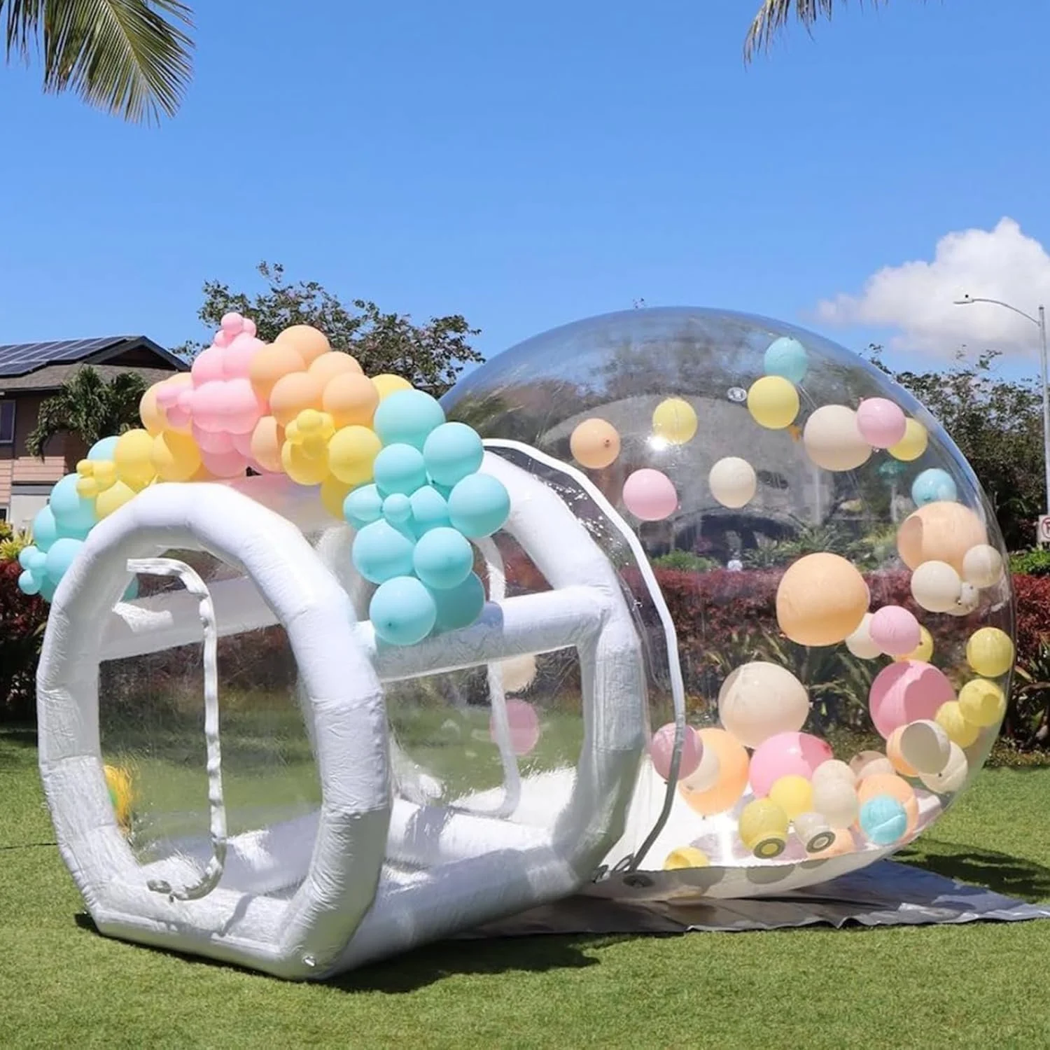 bubble house.JPG