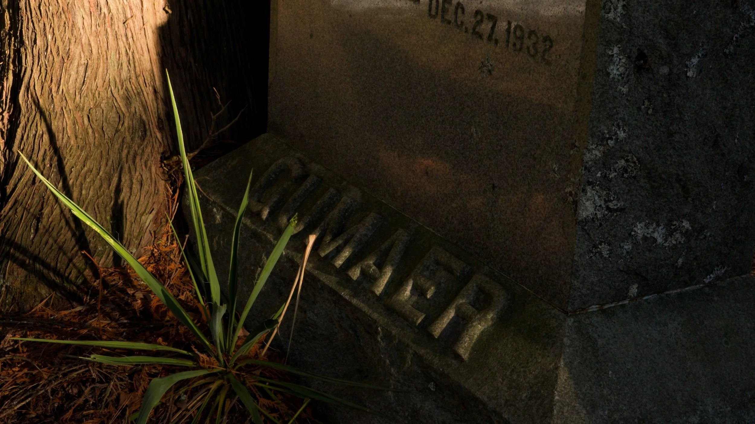 Sequence 01.00_12_51_02.Still036.jpg