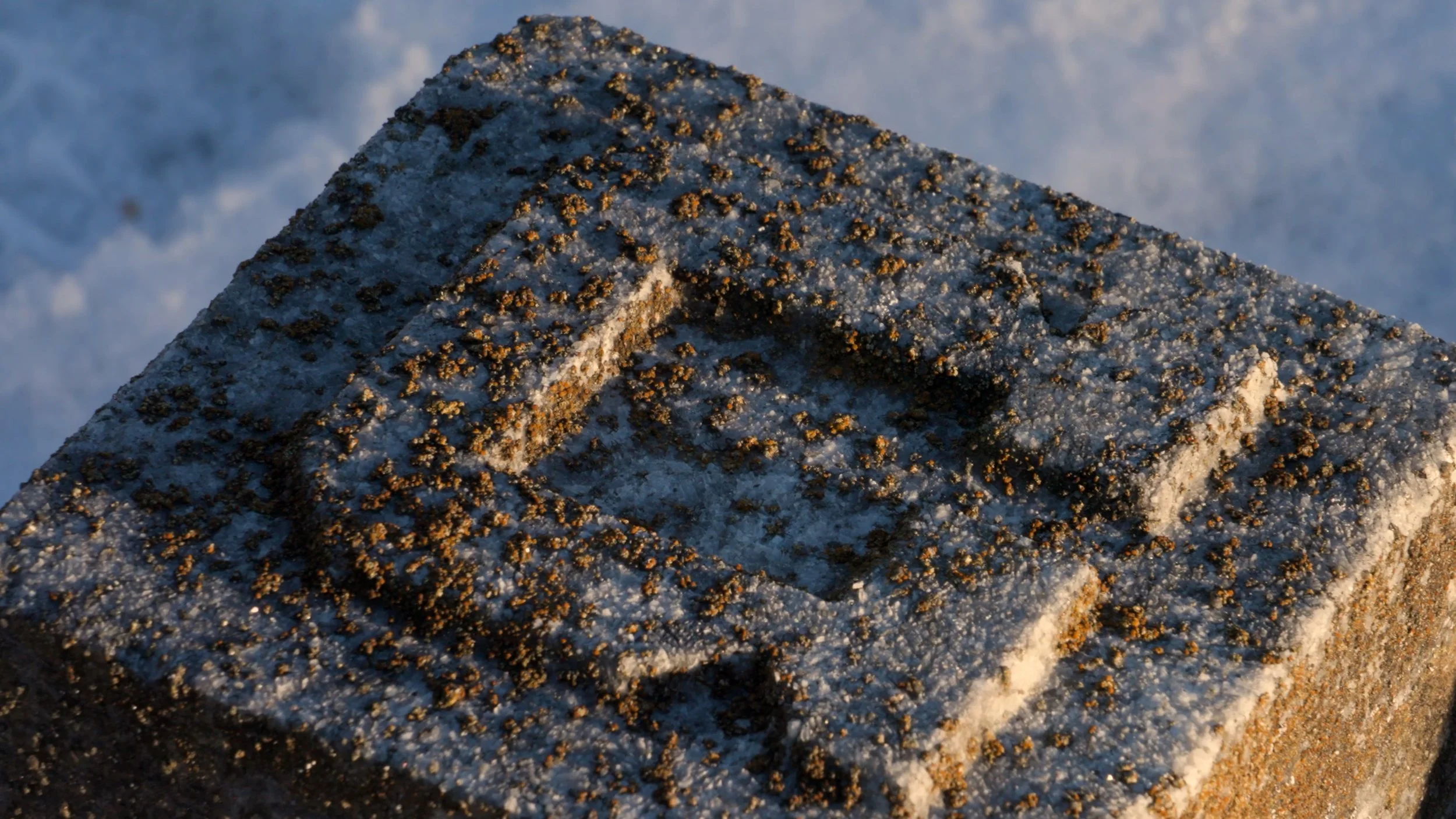 Sequence 01.00_12_42_23.Still035.jpg