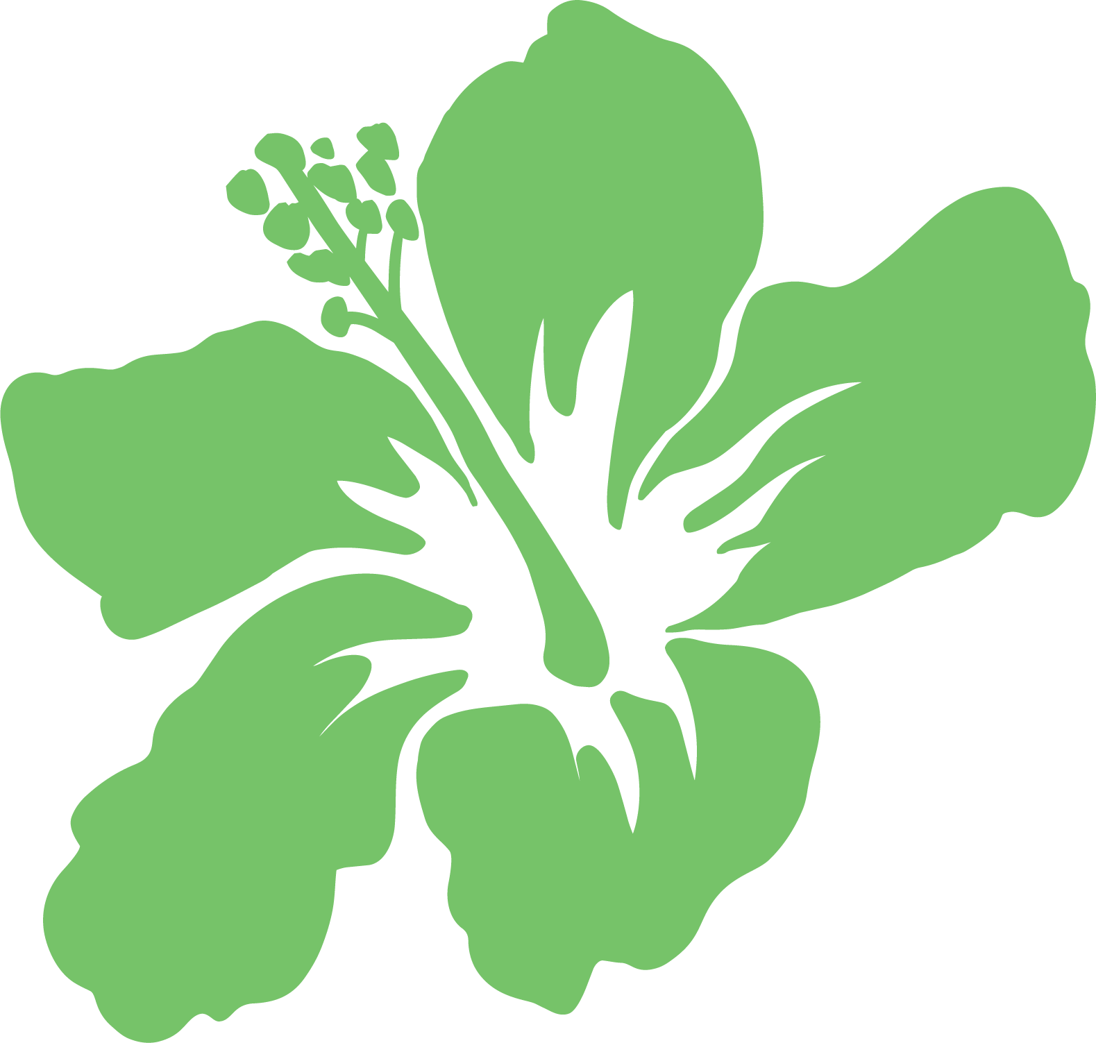 hibiscus logo green.png
