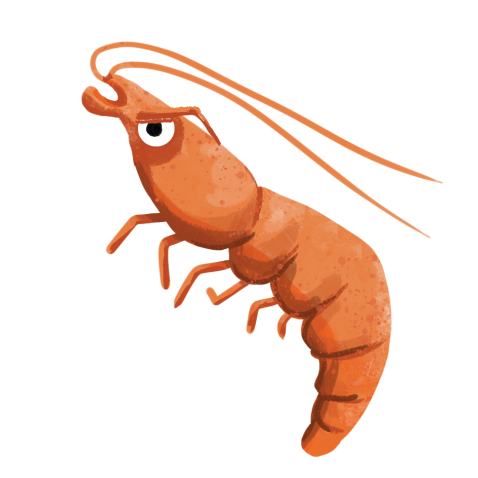shrimp.png