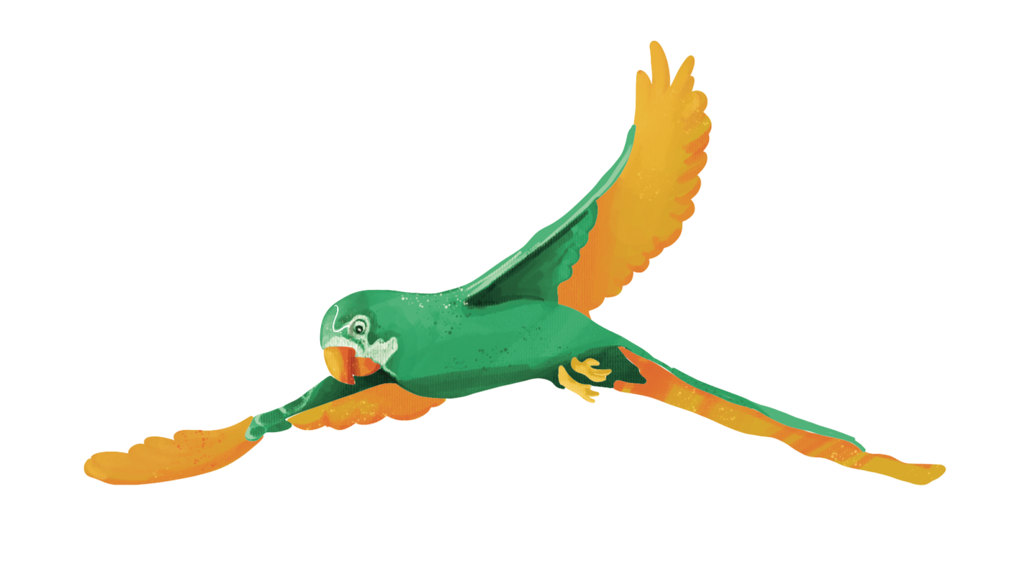 green+parrot.png