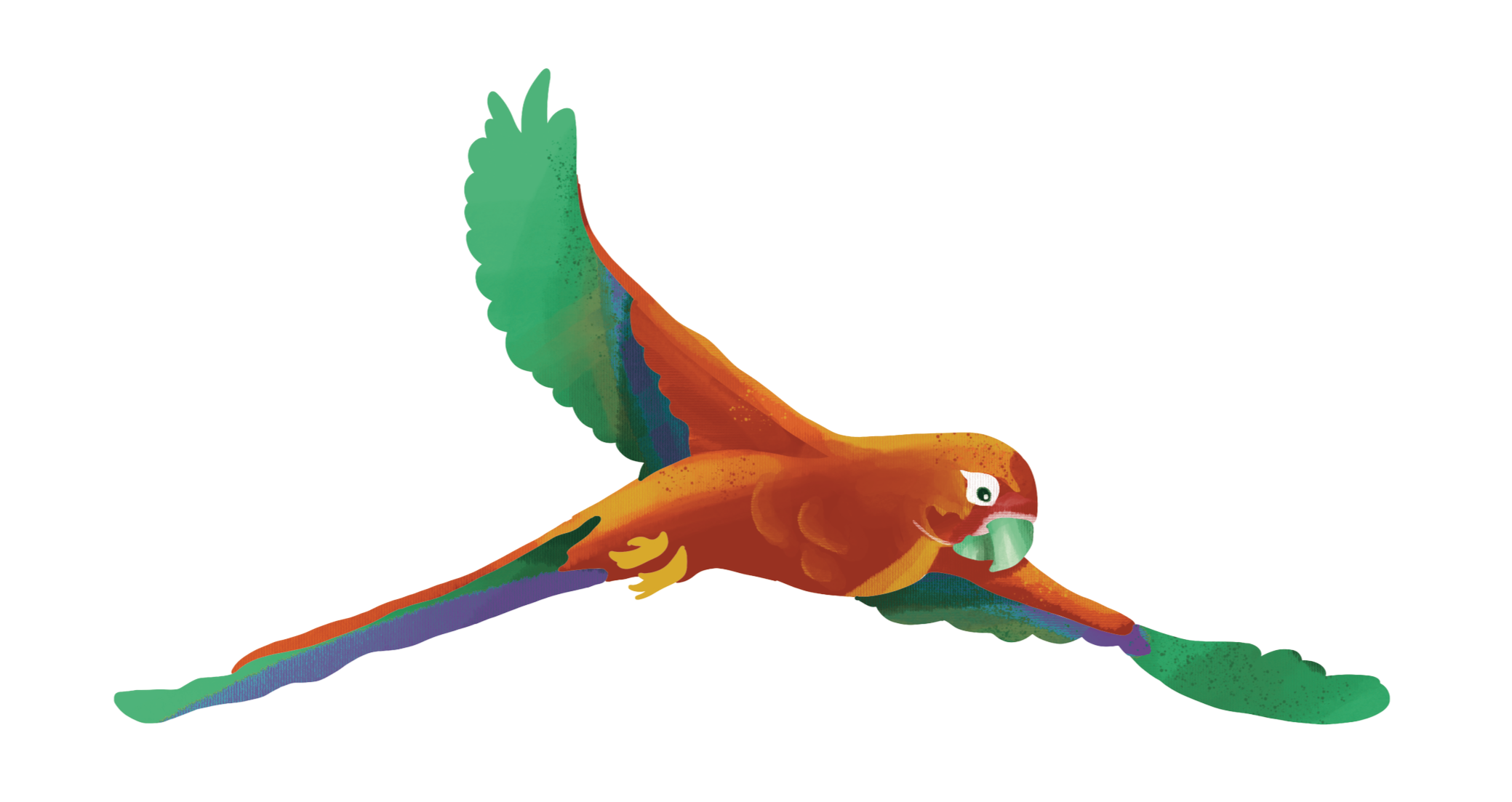 red+parrot.png