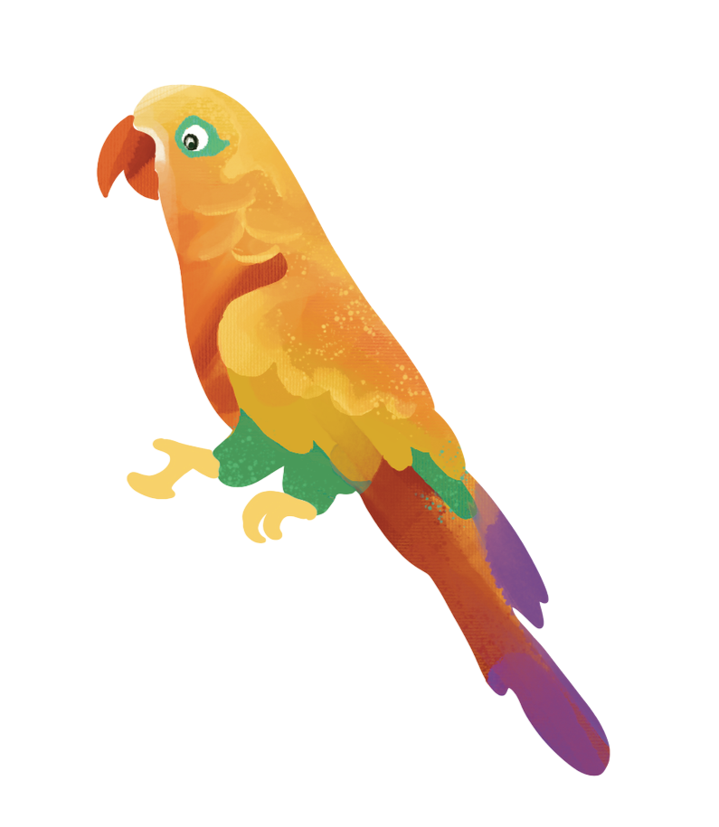 yellow+parrot.png