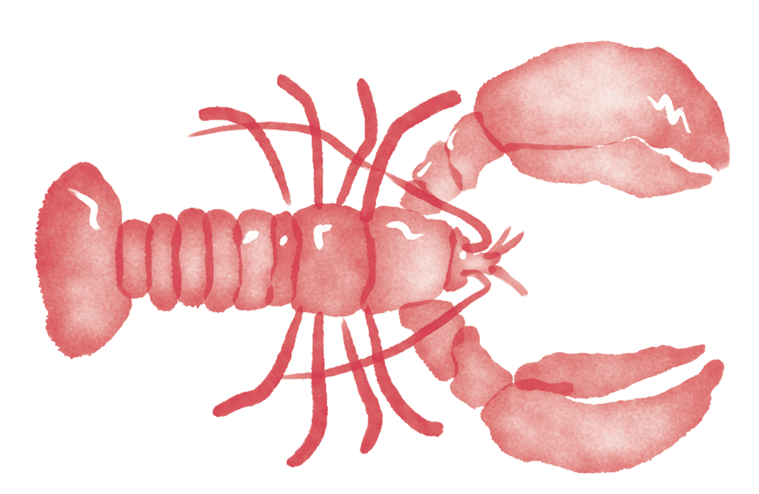 red+lobster.png