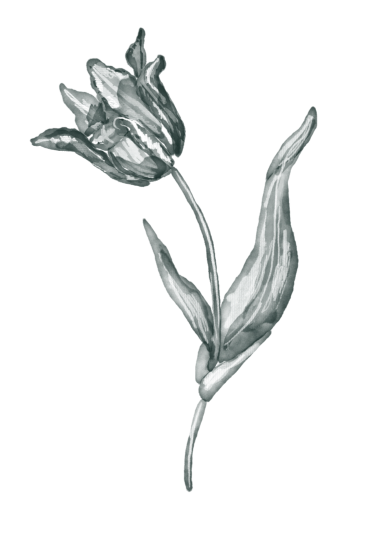 Flower.png