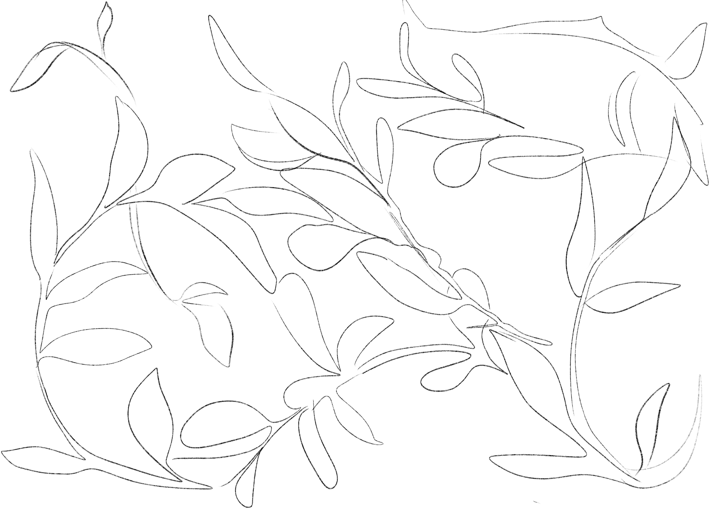 IMG_3931.png