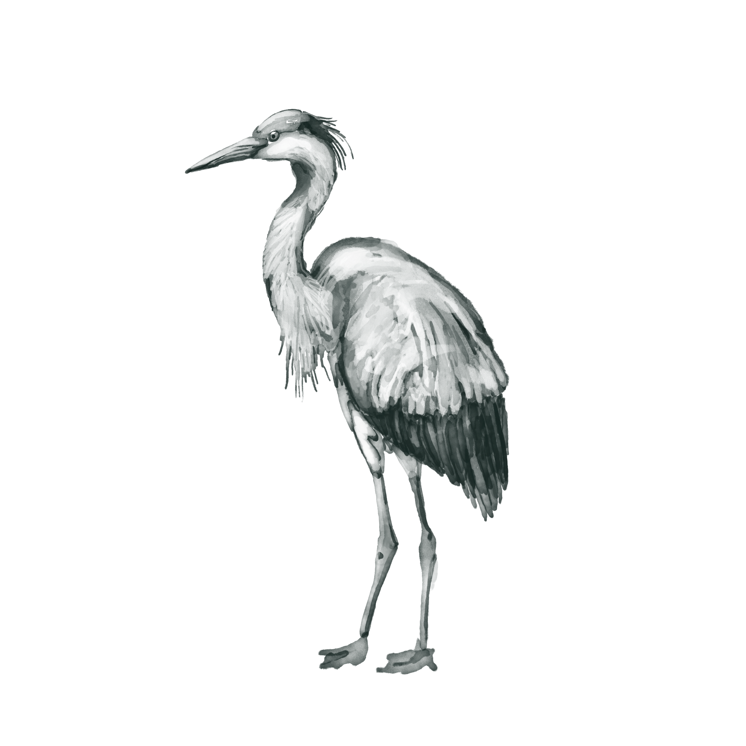 Crane.png