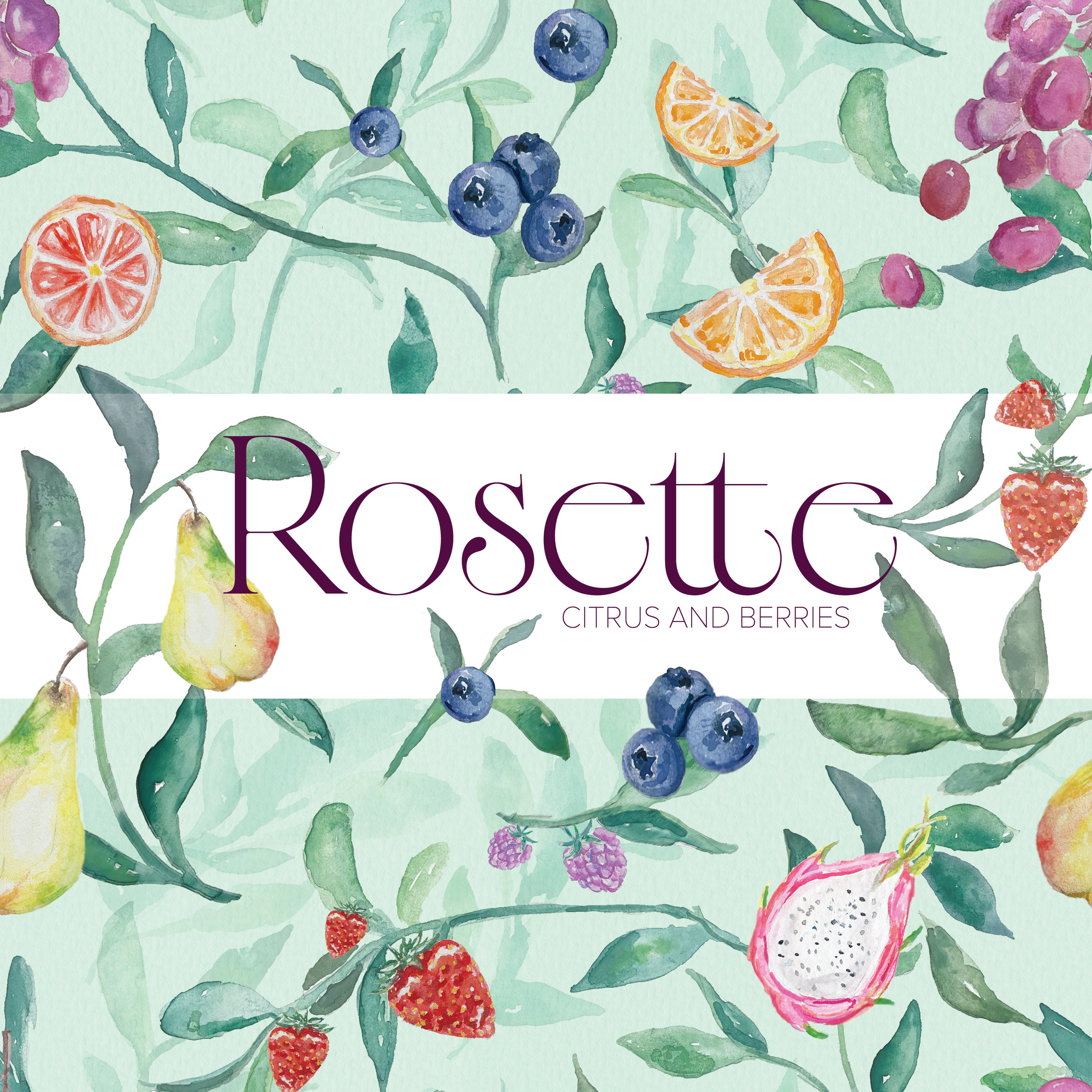 ROSSETTE PACKAGING final.png