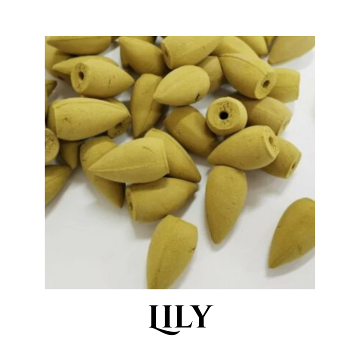 back flow cones (4).png