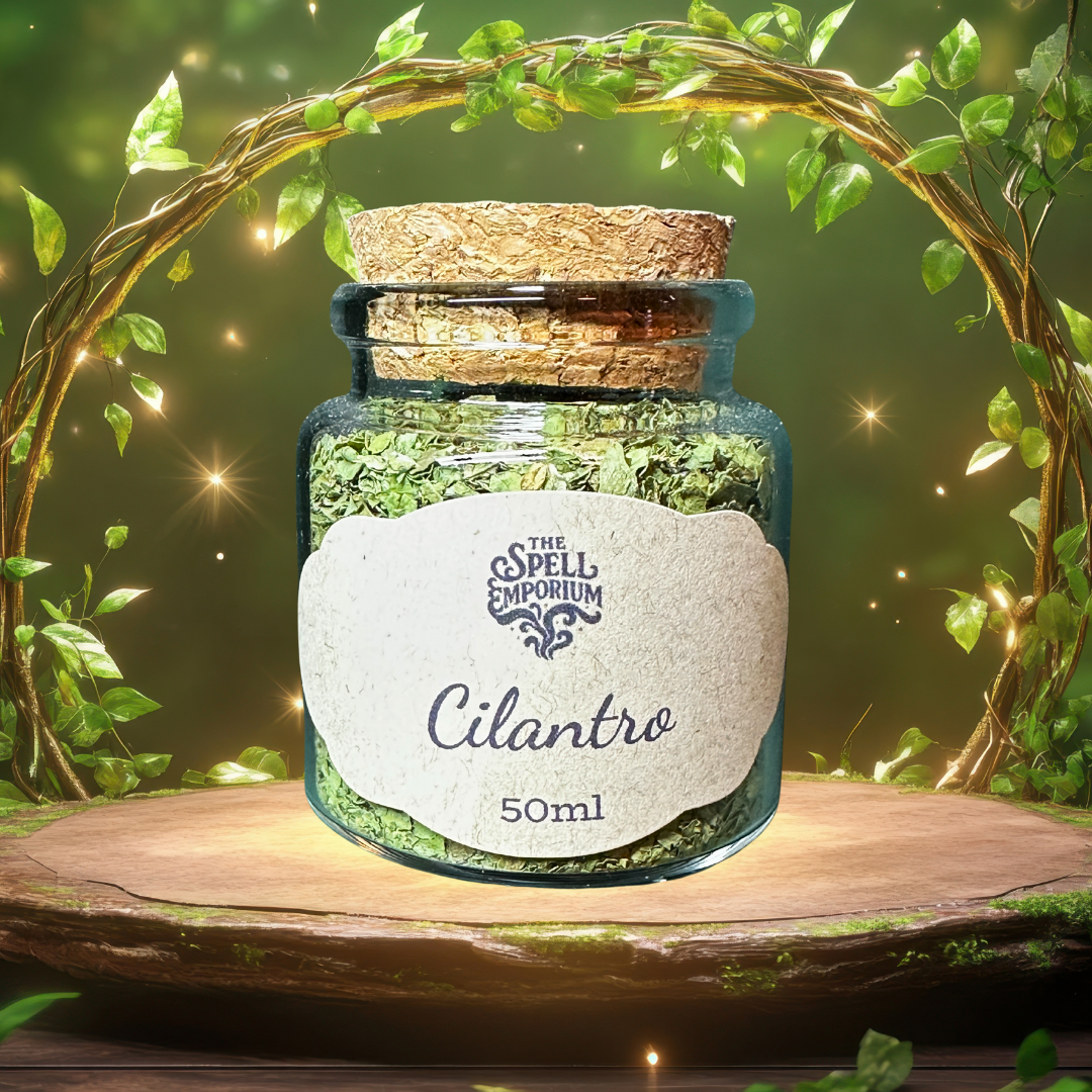 cilantro.png
