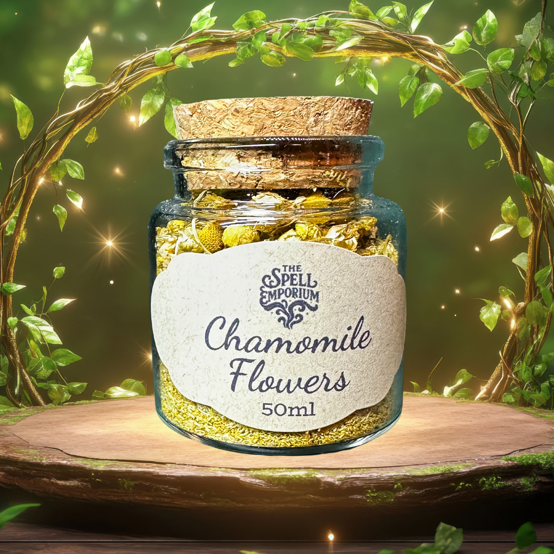 chamomile flower.png