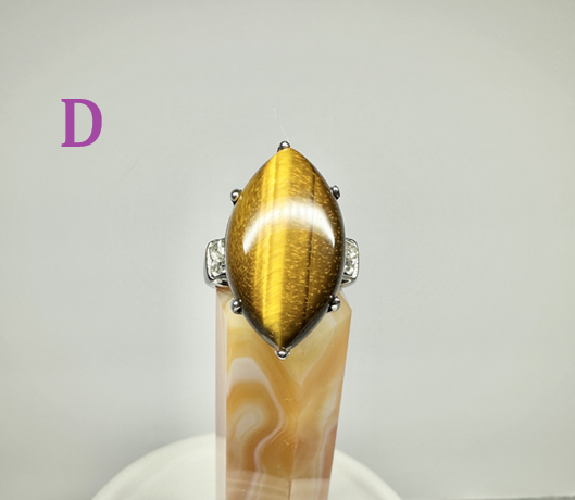 Ring 9 D.png
