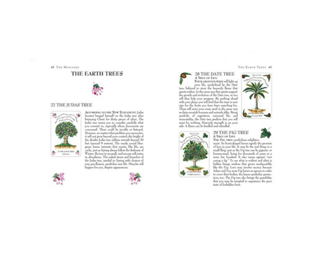 tree magick oracle 2.png