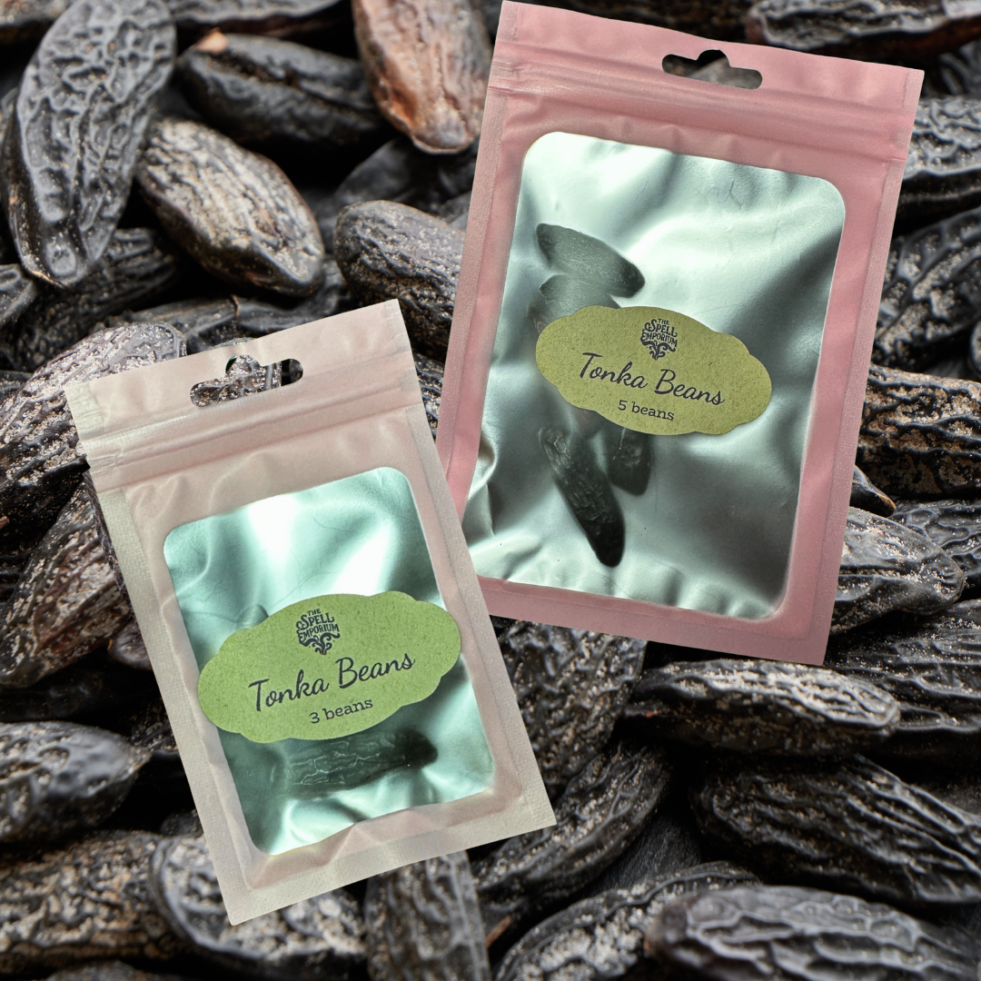 tonka beans.png