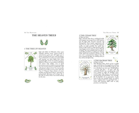 tree magick oracle 3.png