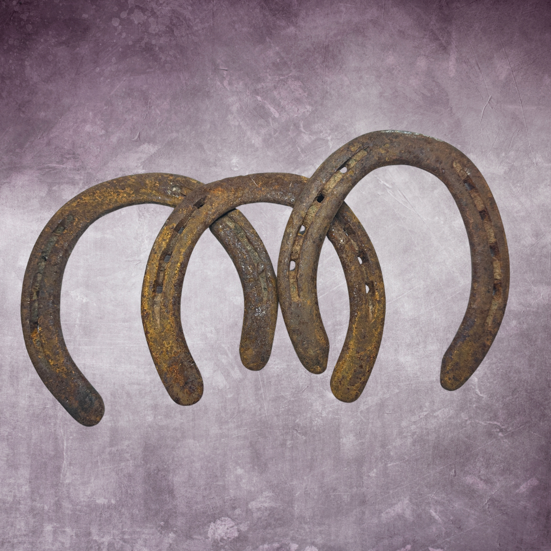 horseshoes.png