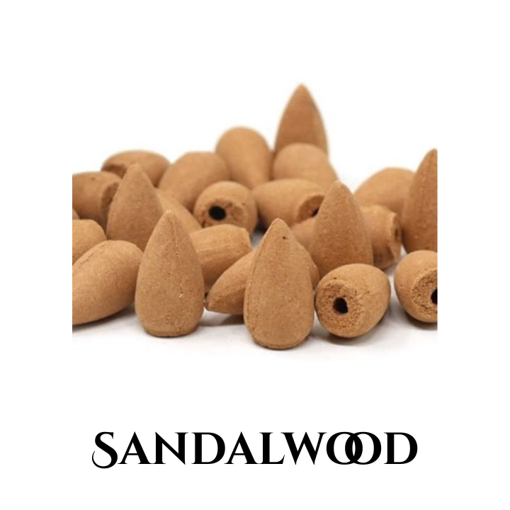 back flow cones (2).png