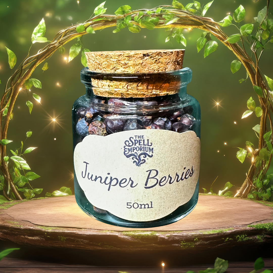juniper berries.png