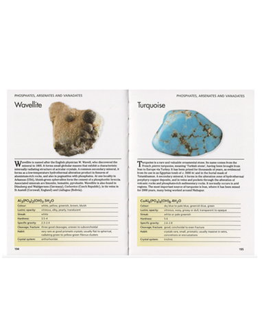 Minerals and Gemstones 300 of the Earth's Natural Treasures 10.png