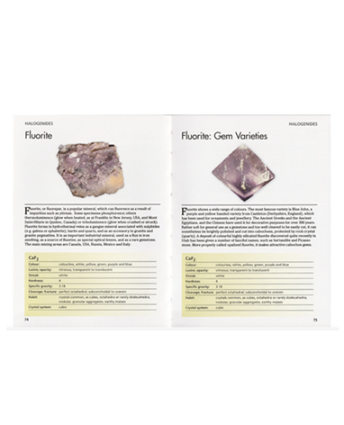 Minerals and Gemstones 300 of the Earth's Natural Treasures 11.png