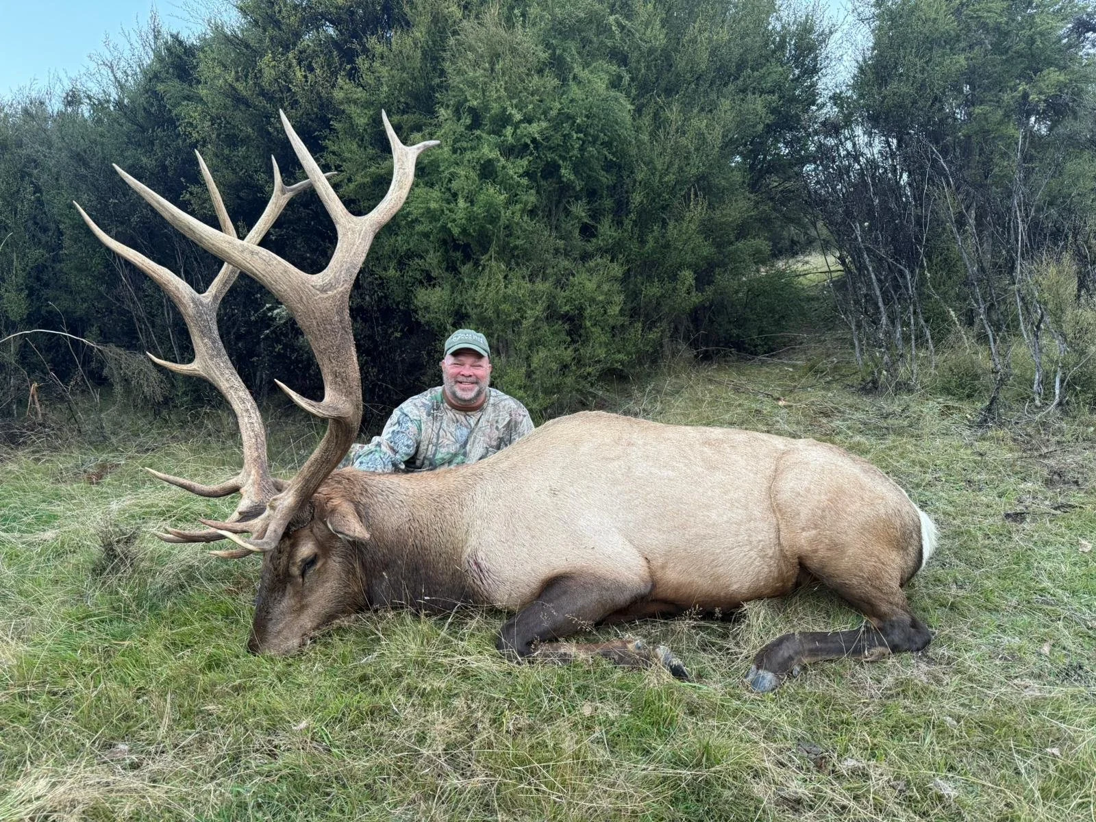 WhatsApp Image 2025-08-25 at 02.26.38 (1).jpeg