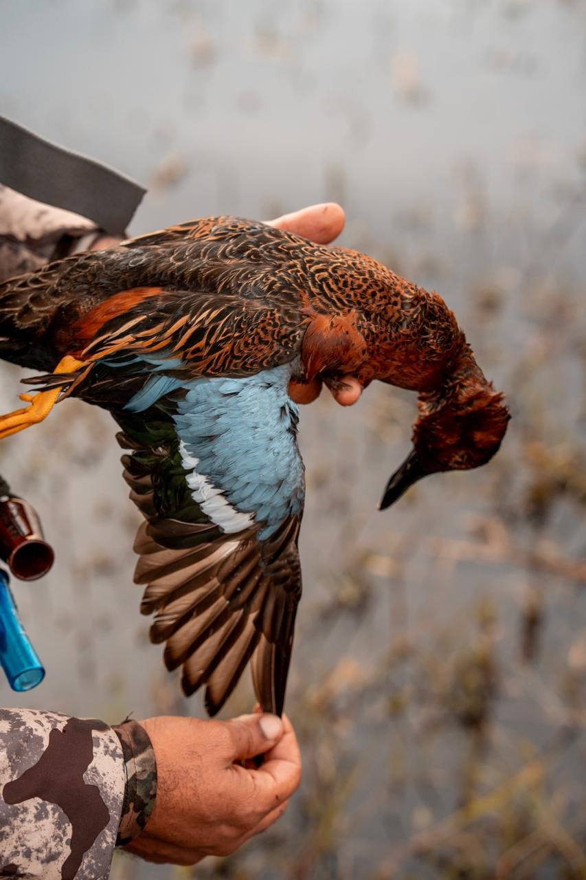 WhatsApp Image 2025-09-23 at 15.40.32.jpeg