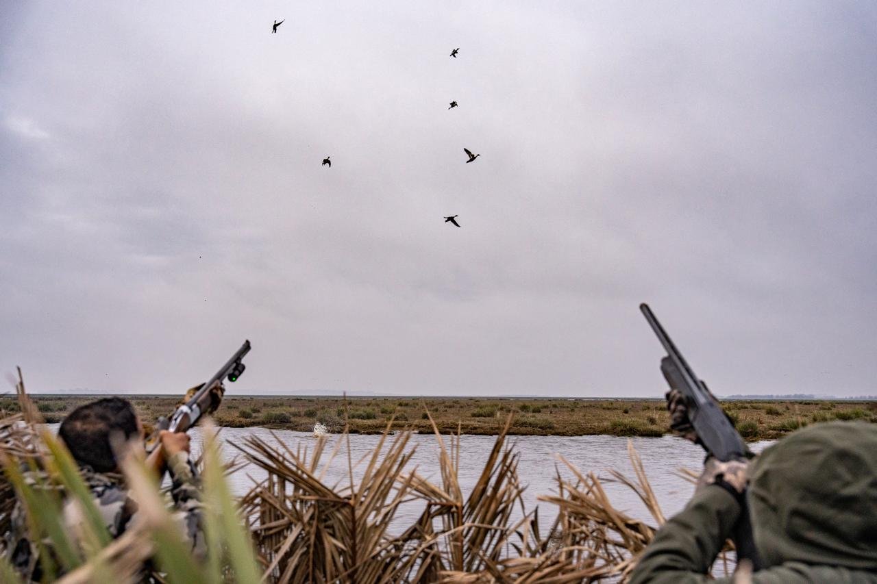 WhatsApp Image 2025-09-23 at 15.40.34 (1).jpeg