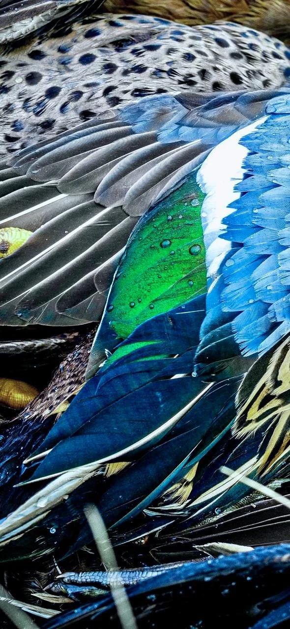 WhatsApp Image 2025-09-23 at 15.40.30 (2).jpeg