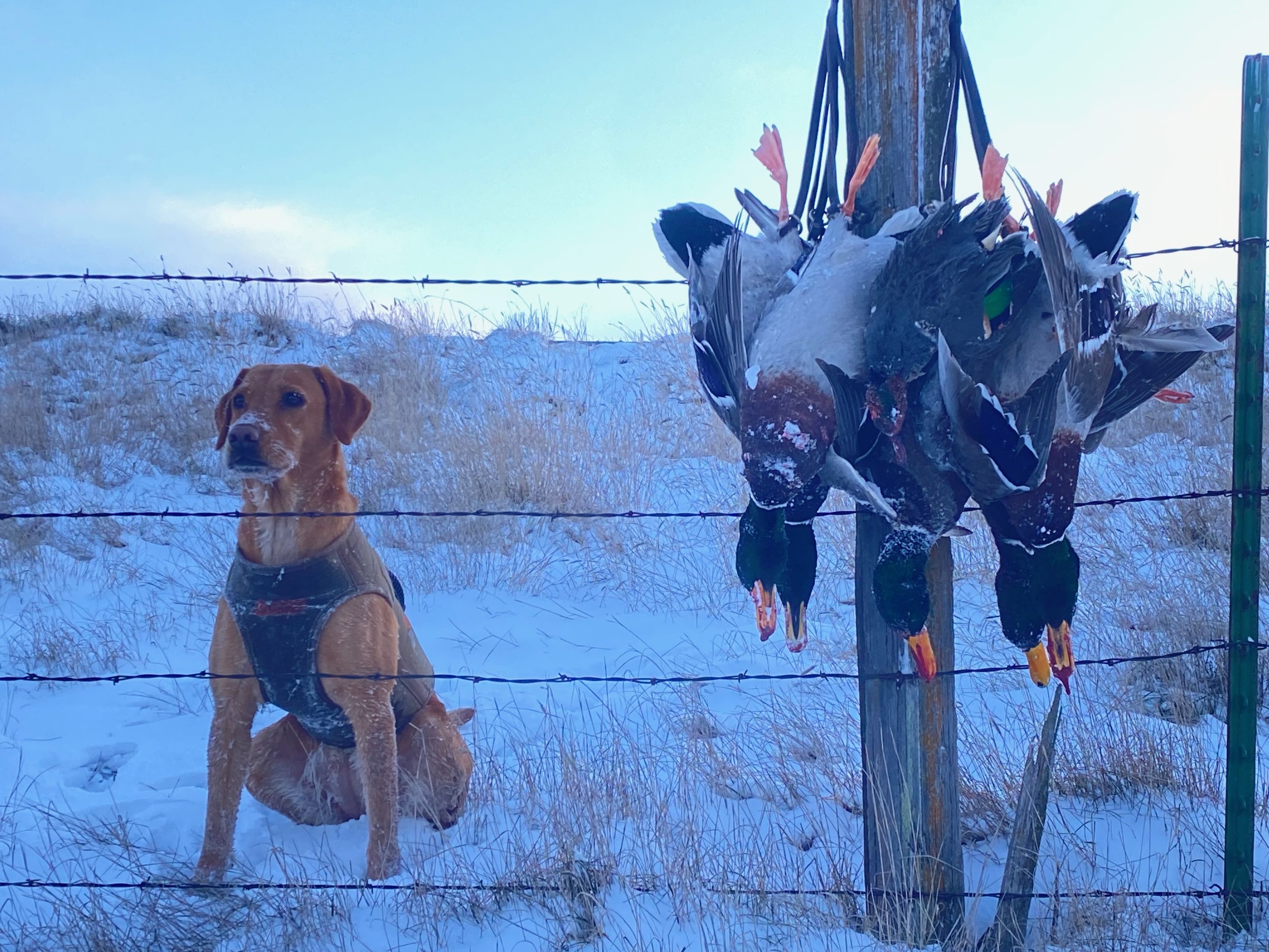 Photo Jan 12 2024, 4 35 39 PM.jpg