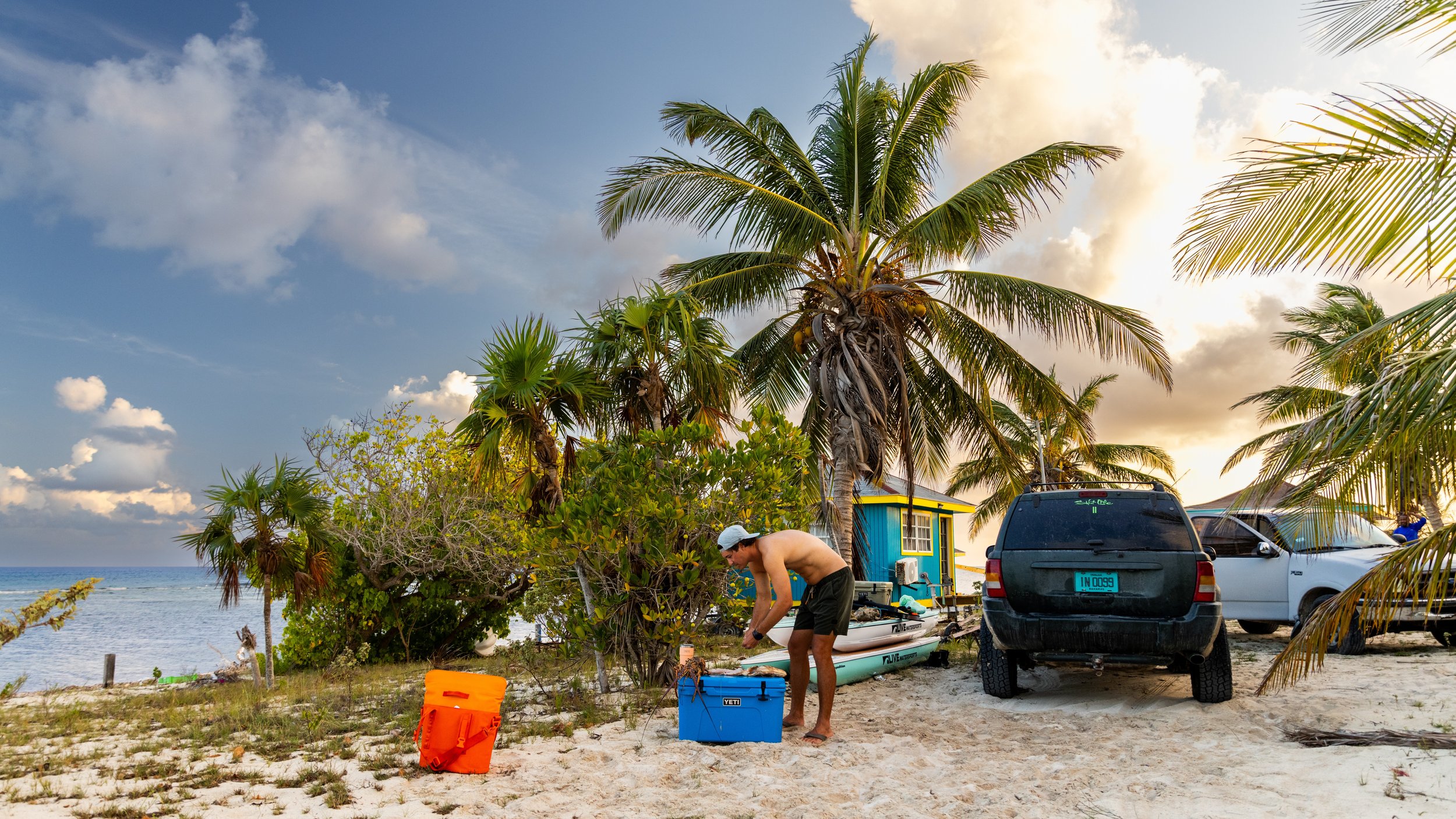 Photo Apr 29 2025, 6 56 36 PM.jpg