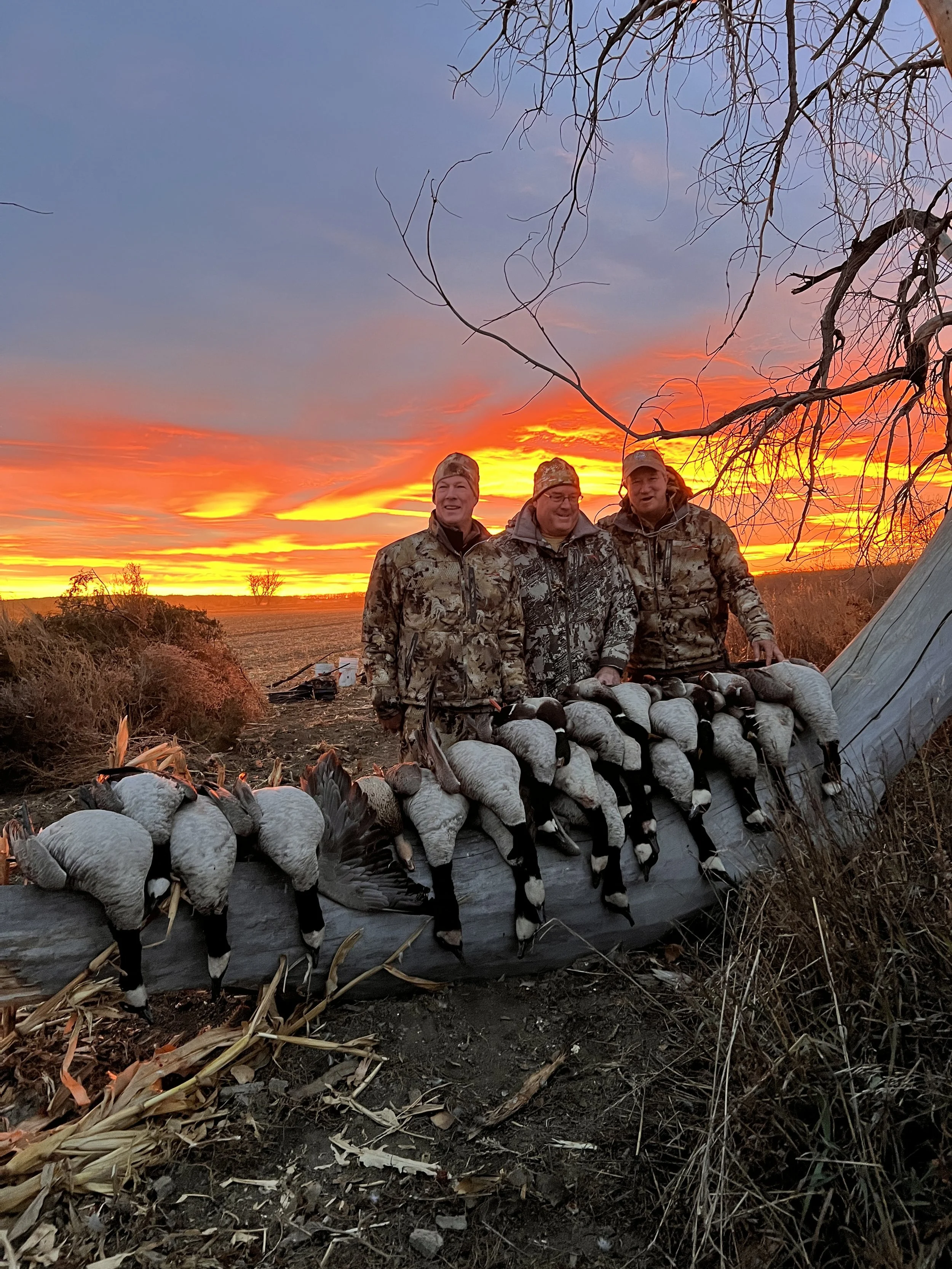 Photo Dec 03 2024, 4 36 42 PM.jpg