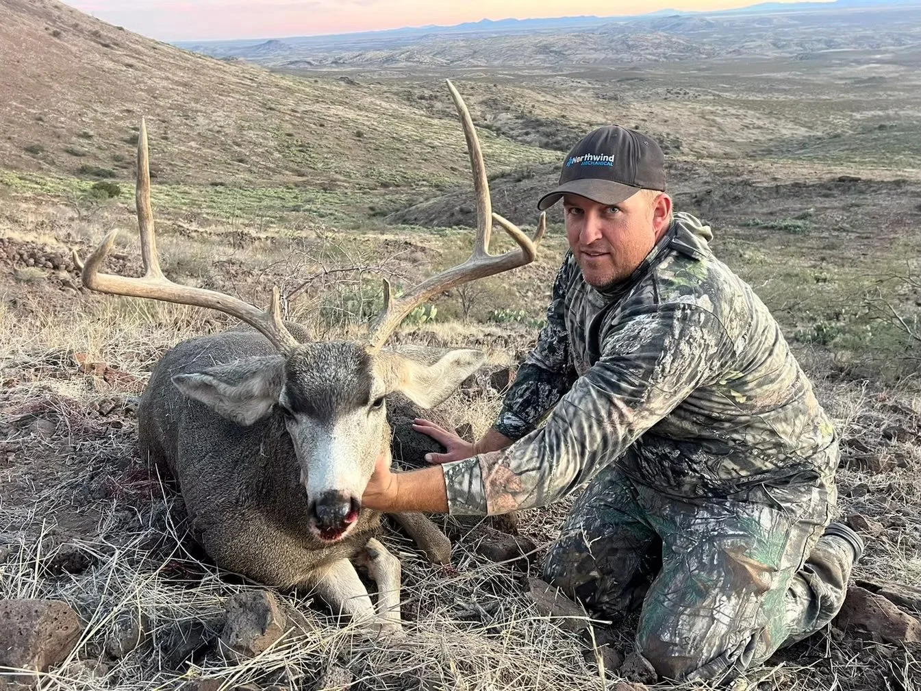 aafed2_e094d5fab28b409d b124054b6166fc73~mv2.jpg