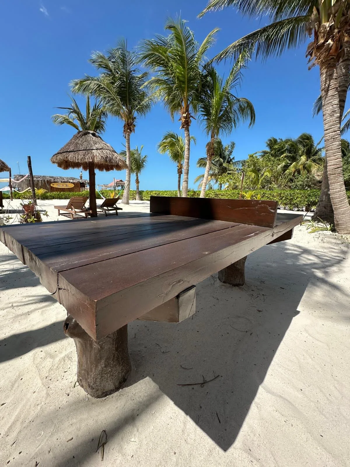 WhatsApp Image 2025-06-02 at 21.15.03.jpeg