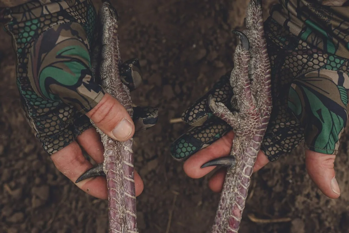 untitled-05419.jpeg