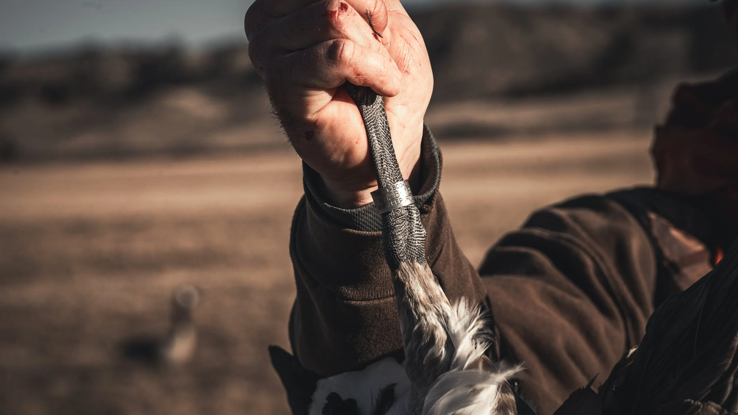 Photo Dec 07 2024, 10 03 31 PM.jpg