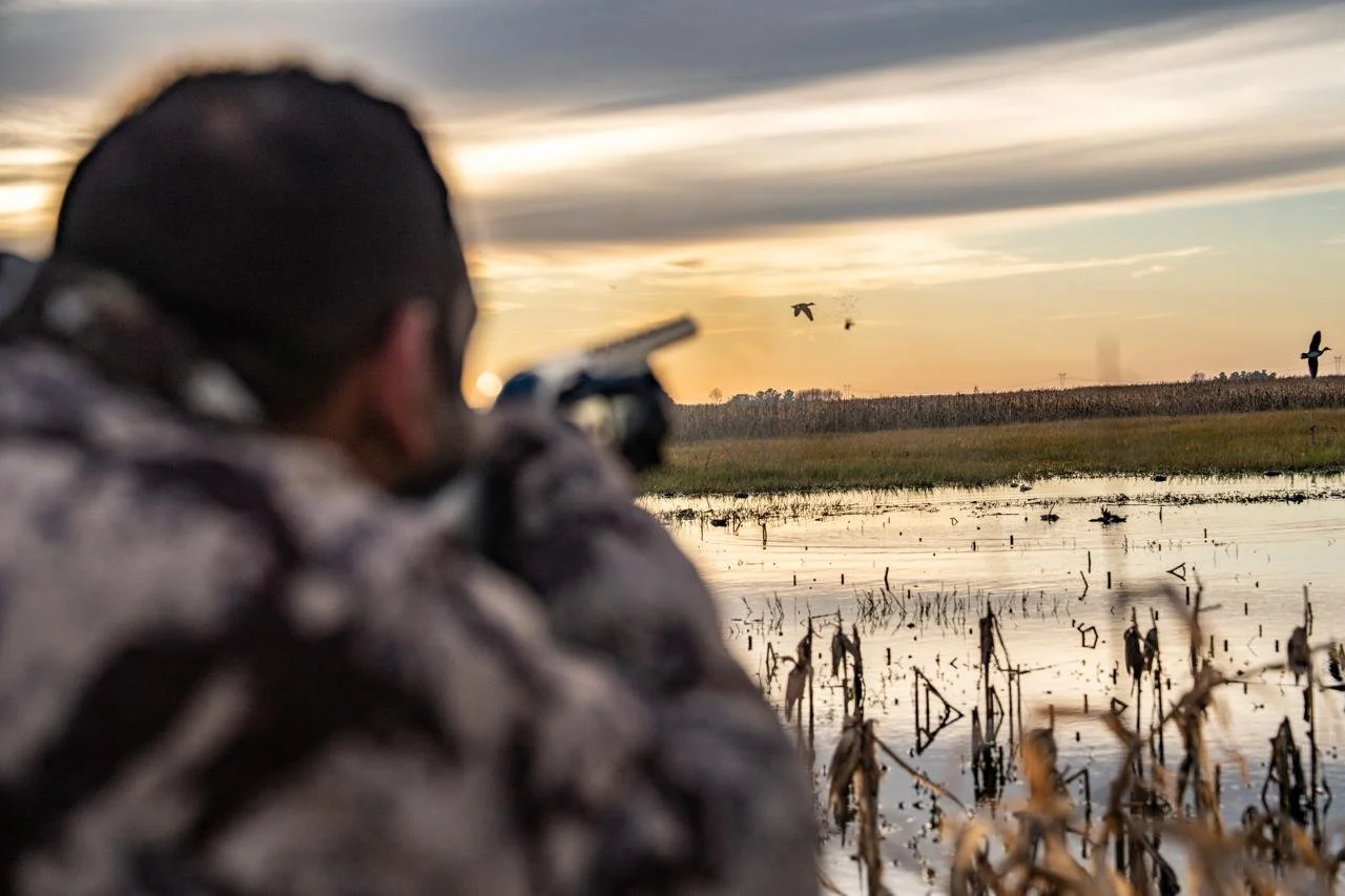 WhatsApp Image 2025-09-23 at 15.40.30.jpeg